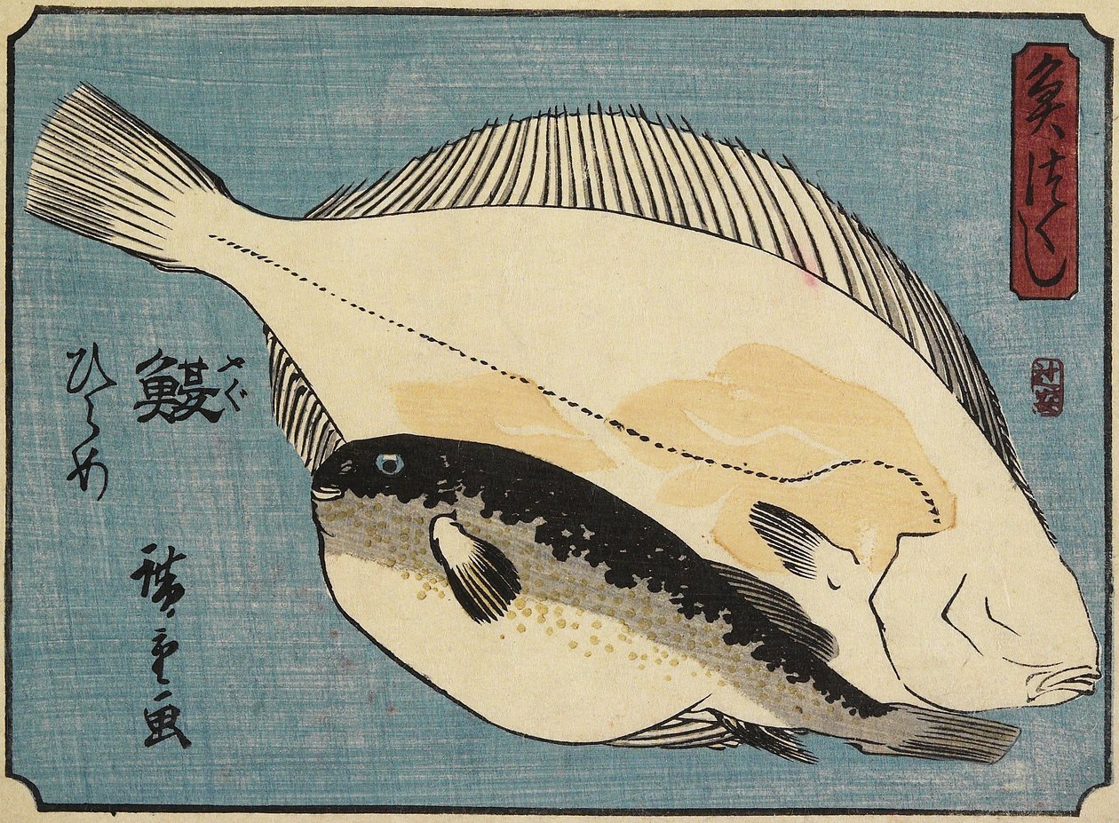 Globefish ve Pisi Balığı, 1830-1844 by Utagawa Hiroshige