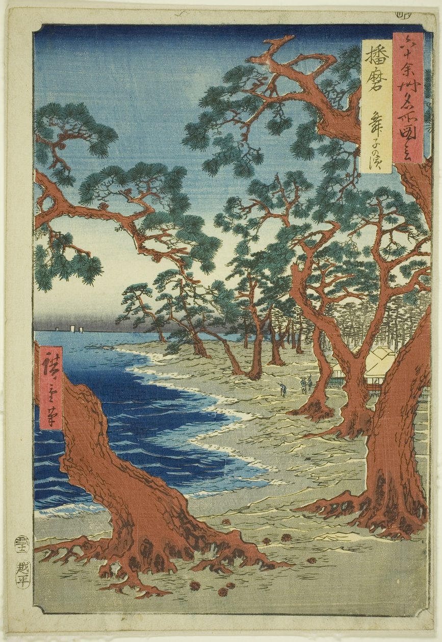 Harima P Roinse: Maiko Bear ch (Harima, Maiko no Hama), s
