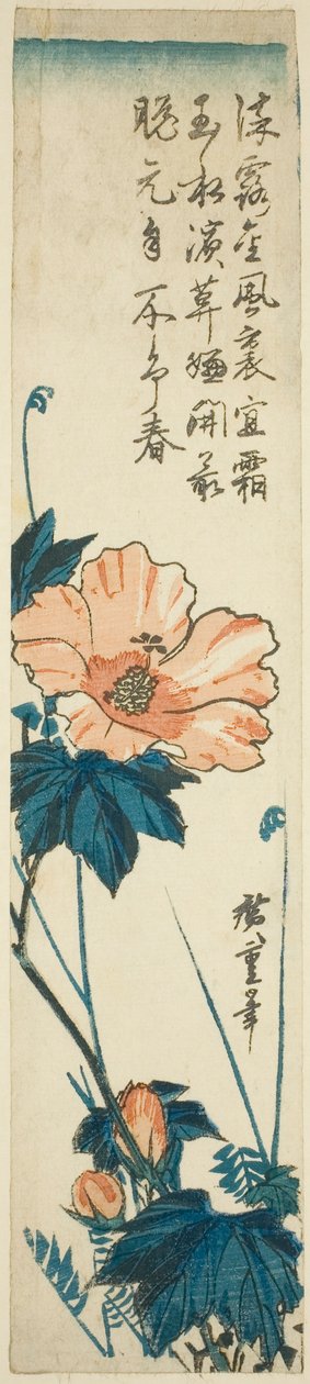 Ebegümeci by Utagawa Hiroshige