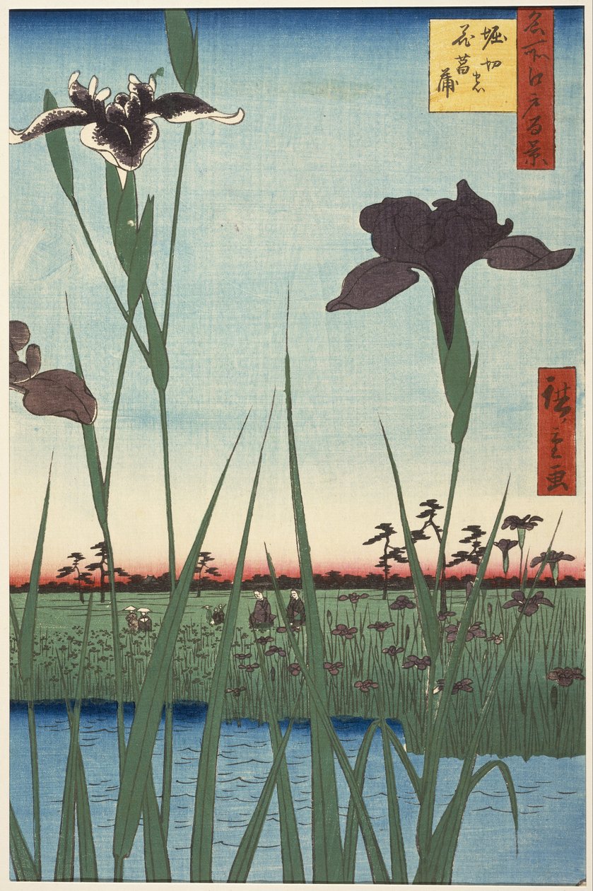 Horikiri İris Bahçesi (Horikiri no hanashōbu), Edo