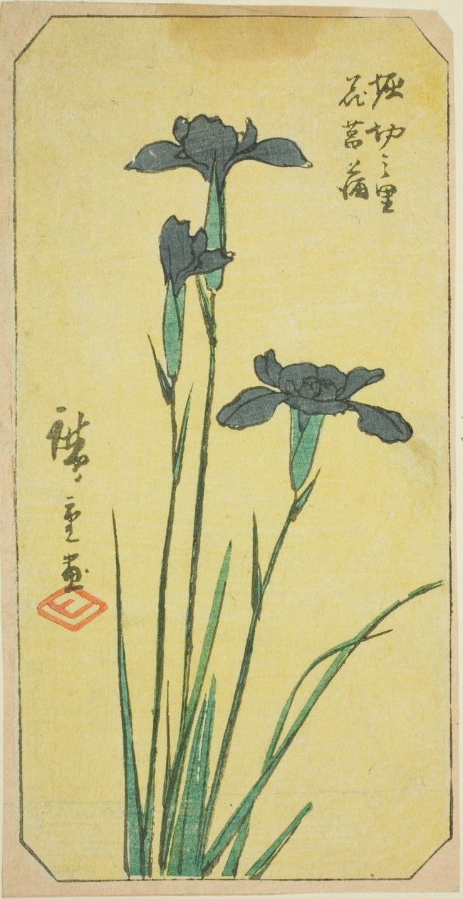 Horikiri Köyü - Horikiri No Sato Hanahobu (Resmi Müzik Videosu) Horikiri Köyü - Horikiri No Sato Hanahobu (Resmi Müzik Videosu) by Utagawa Hiroshige
