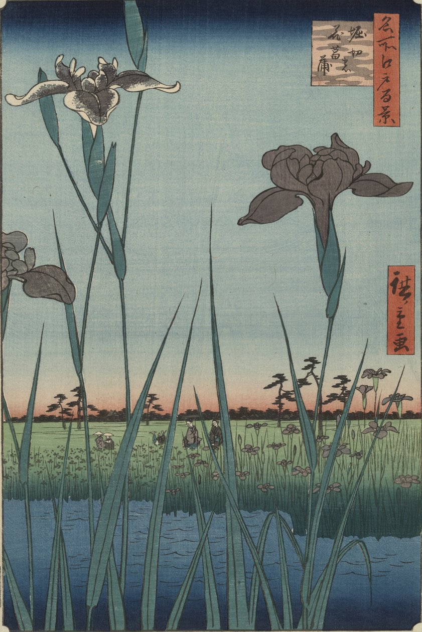 Edo