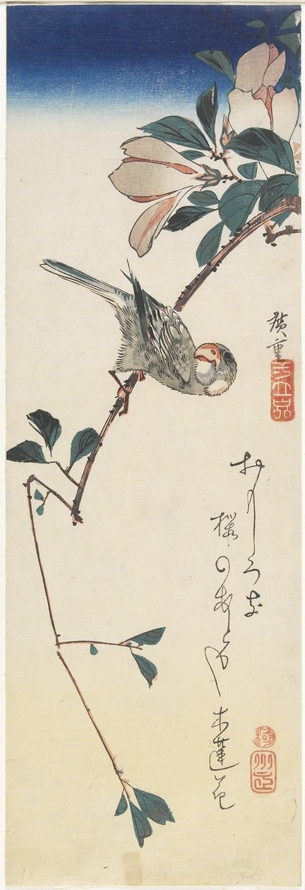 Java Serçesi ve Manolya, 1834-1839 by Utagawa Hiroshige