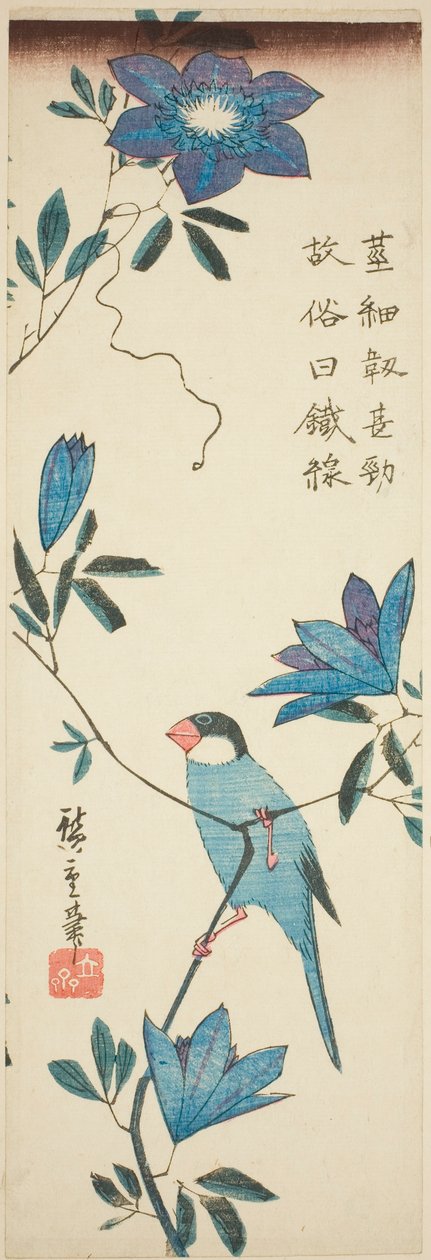 Java serçesi ve akasma by Utagawa Hiroshige
