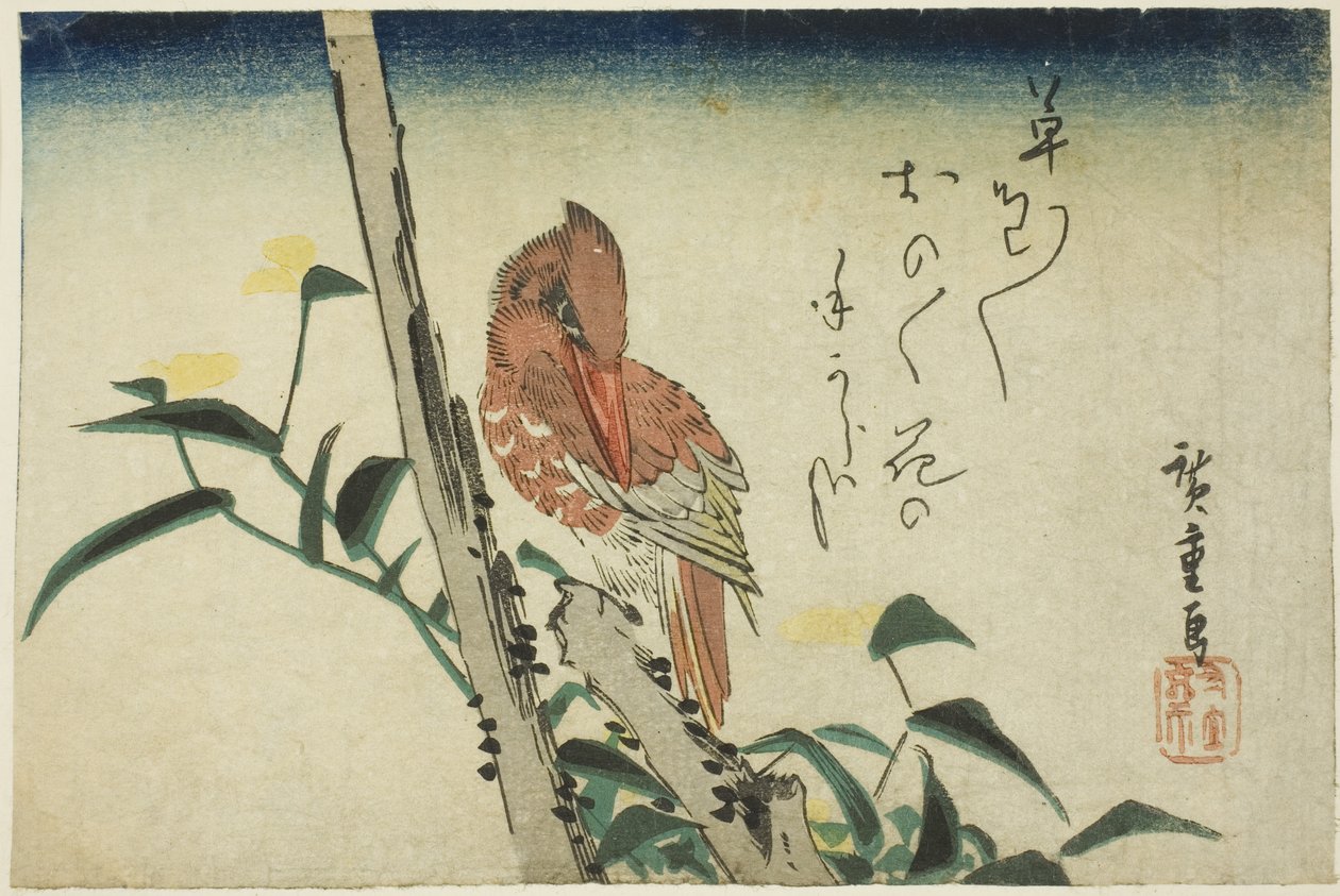 Kingfisher ve dayflower by Utagawa Hiroshige