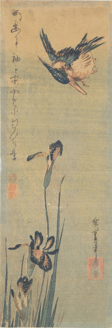 Bir İris üzerinde uçan Kingfisher by Utagawa Hiroshige
