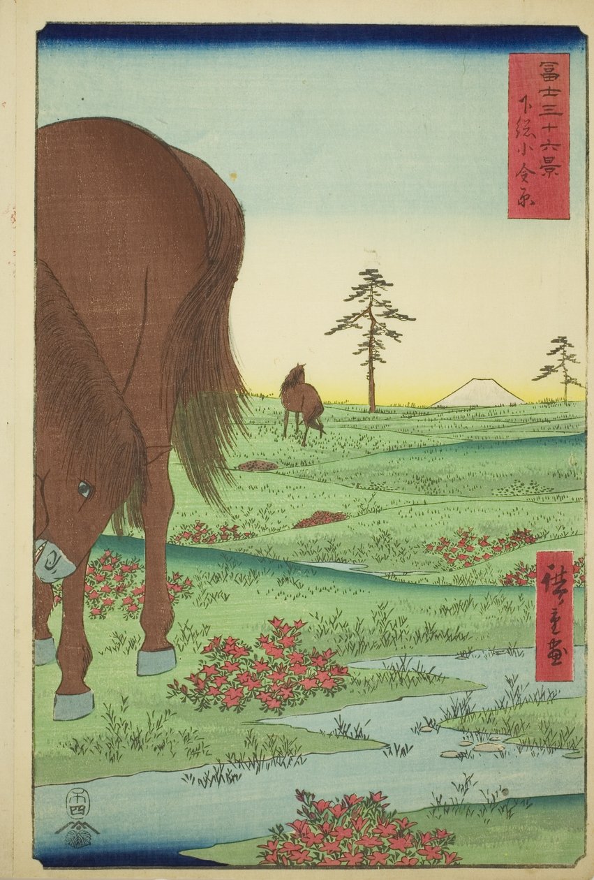 Golden Pine üyesi teğmen P Rovinse (Shimosa Koganehara), teserie