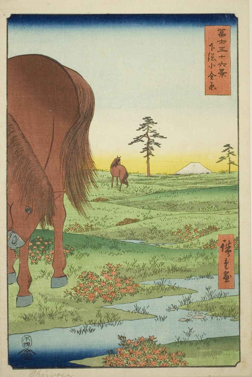 Golden Pine üyesi teğmen P Rovinse (Shimosa Koganehara), teserie