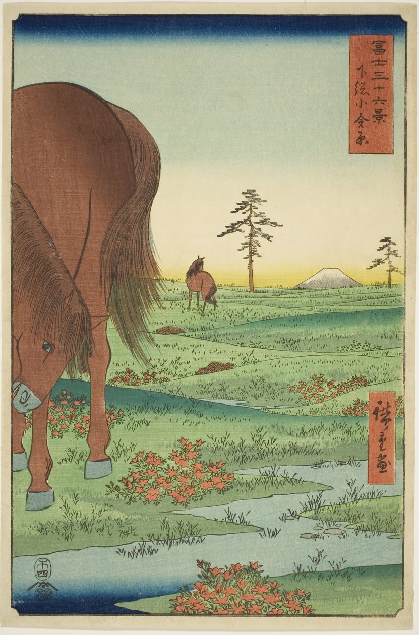 Golden Pine üyesi teğmen P Rovinse (Shimosa Koganehara), teserie