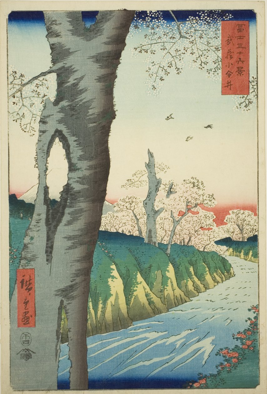 Musashi Eyaletindeki Koganei (Musashi Koganei), "Fuji Dağı