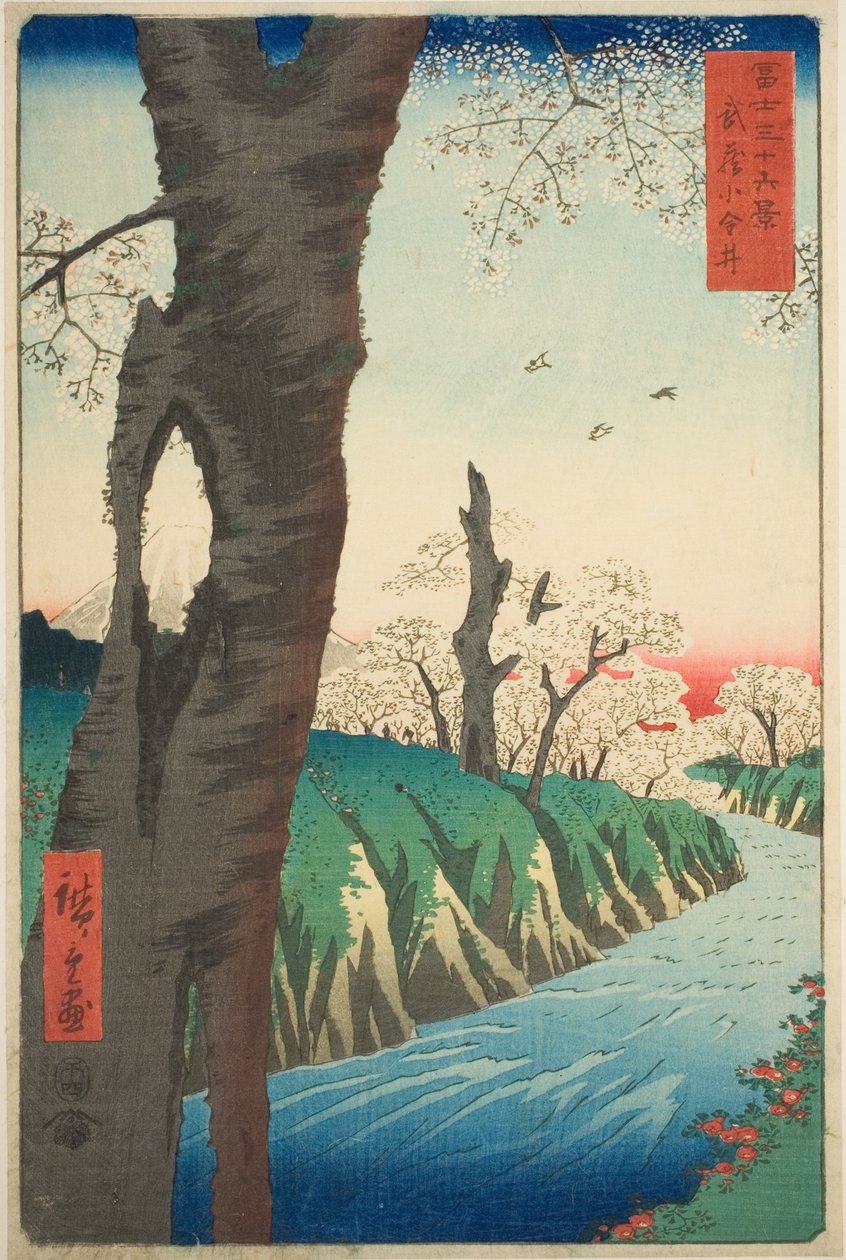 Musashi Eyaletindeki Koganei (Musashi Koganei), "Fuji Dağı