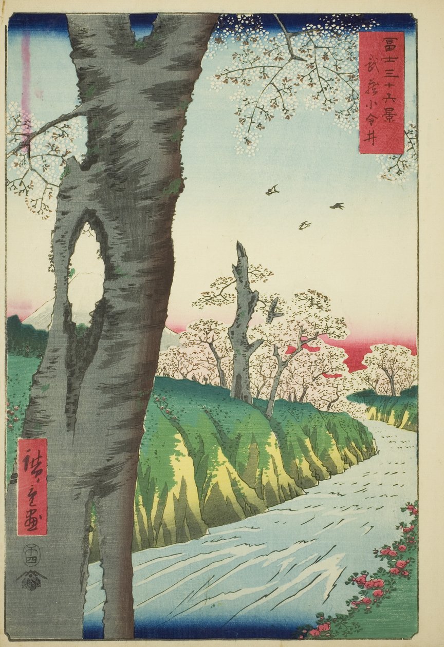 Musashi Eyaletindeki Koganei (Musashi Koganei), "Fuji Dağı