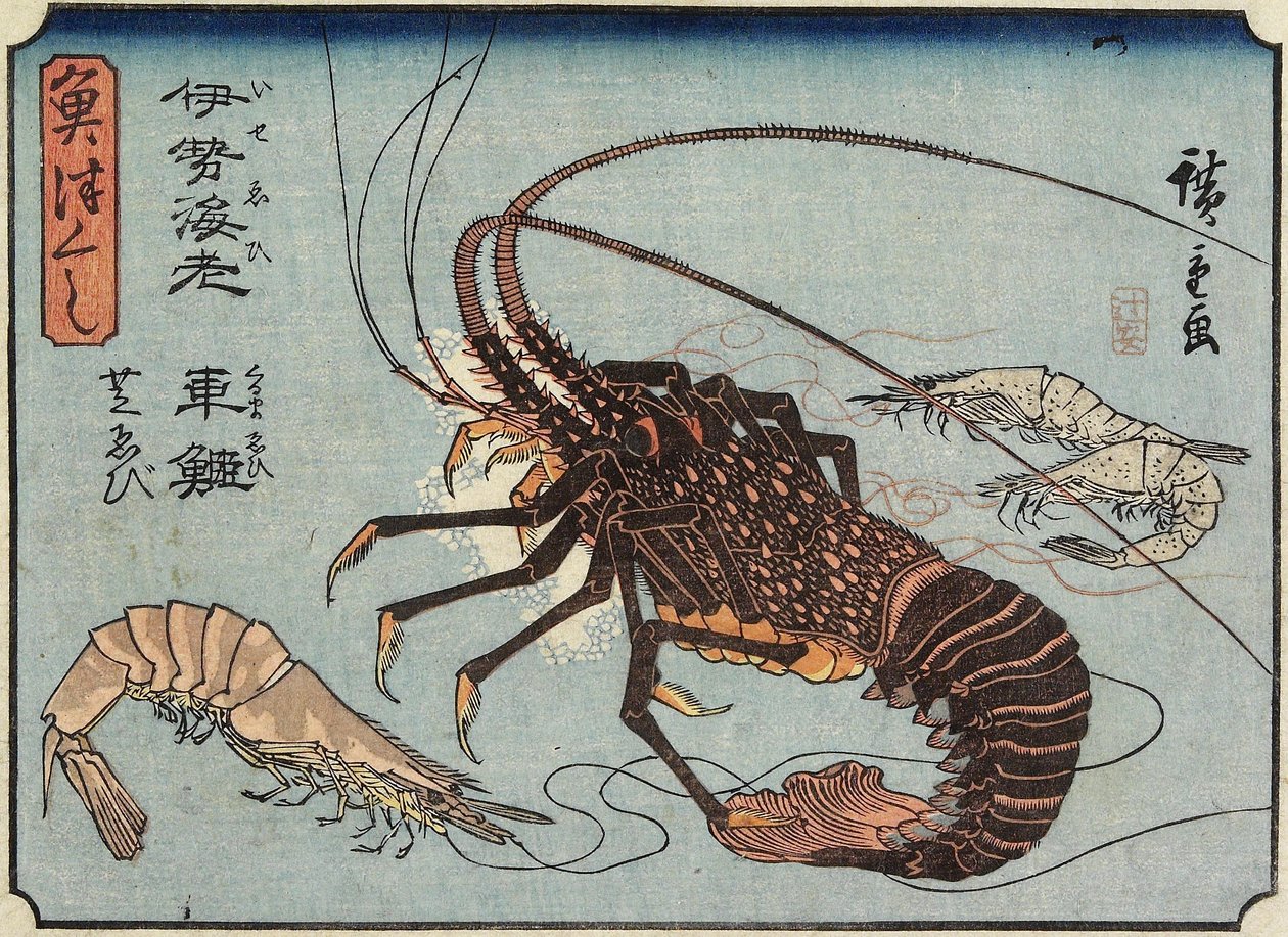ನಳ್ಳಿ, ಪ್ರಾನ್ ಮತ್ತು ಸೀಗಡಿ, 1830-1844 ಟರ್ಕ್ by Utagawa Hiroshige