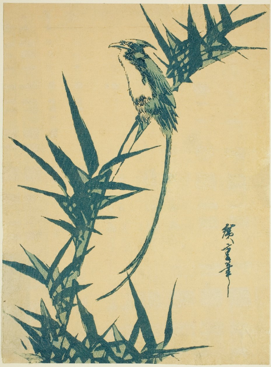 Uzun kuyruklu kuş ve bambu by Utagawa Hiroshige