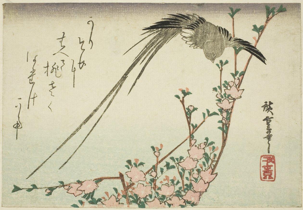 Uzun kuyruklu kuş ve şeftali çiçekleri by Utagawa Hiroshige