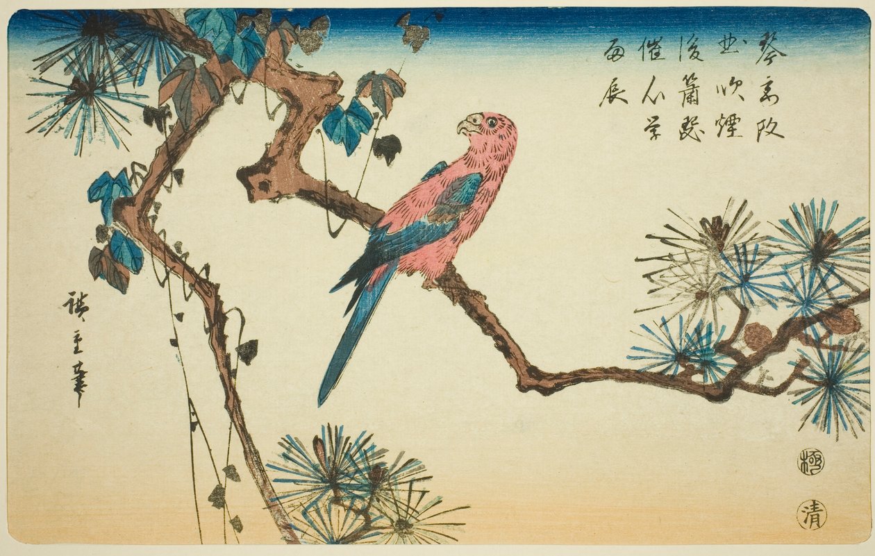 Çam dalı üzerinde Amerika papağanı by Utagawa Hiroshige