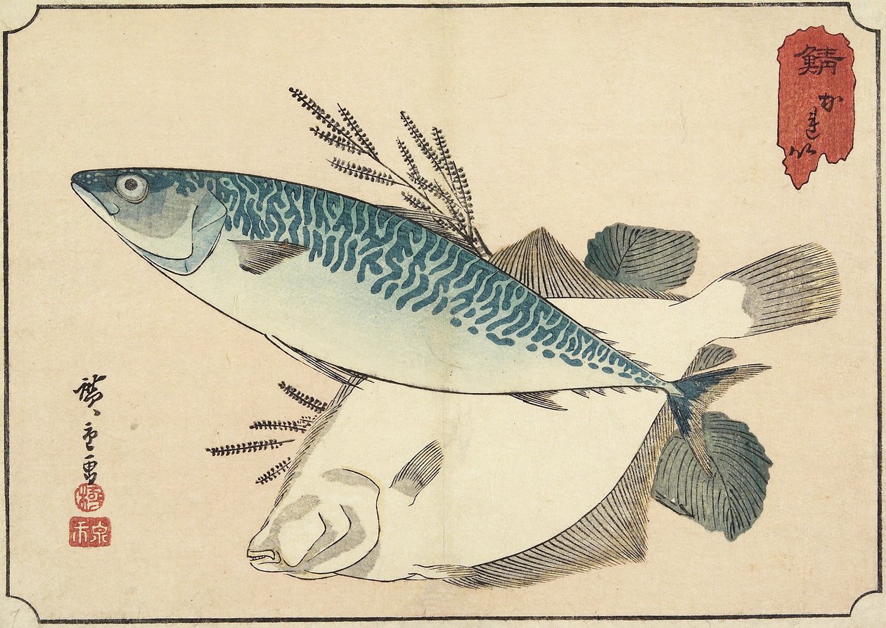 Uskumru ve Halibut, 19. yüzyılın başları by Utagawa Hiroshige