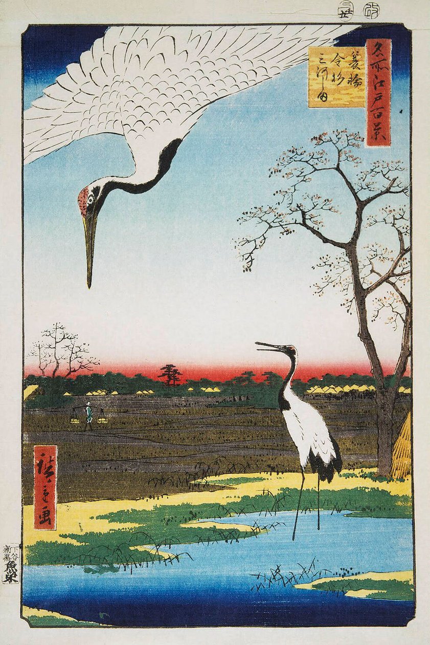 Mikawa Adası, Kanasugi ve Minowa Edo