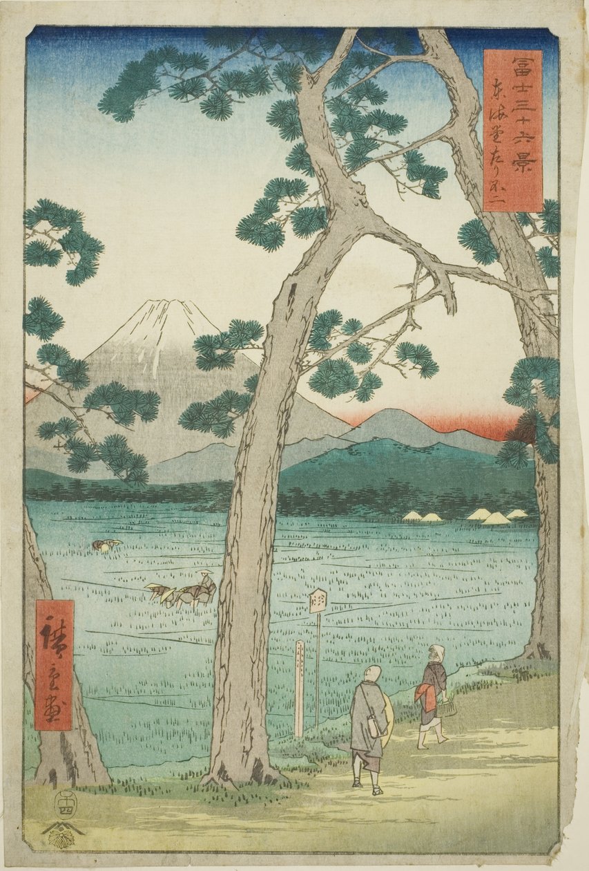 "Fuji Dağı