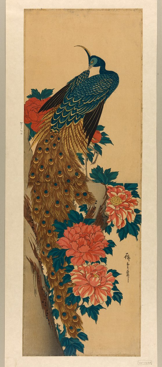 Tavus kuşu ve şakayık by Utagawa Hiroshige