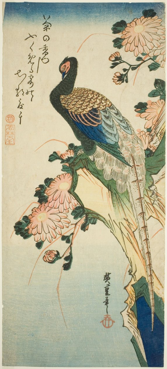 Sülün ve krizantem by Utagawa Hiroshige
