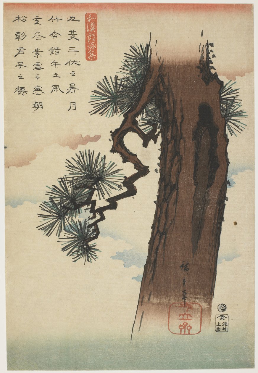 Çam Ağacı, 1837-1844 (renkli tahta baskı) by Utagawa Hiroshige