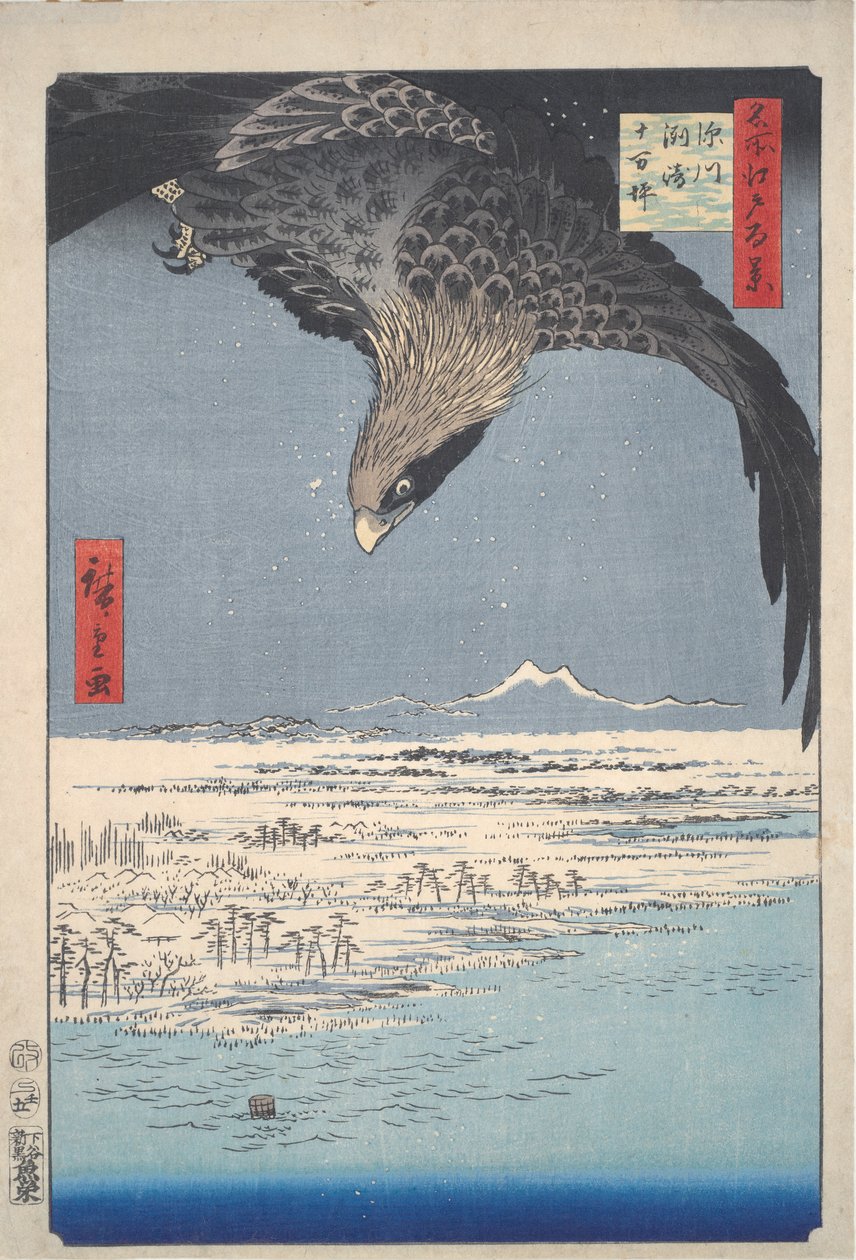Edo
