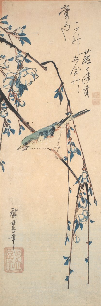 Kiraz Dalı Üzerinde Kırmızı Kanatlı Bluetail by Utagawa Hiroshige
