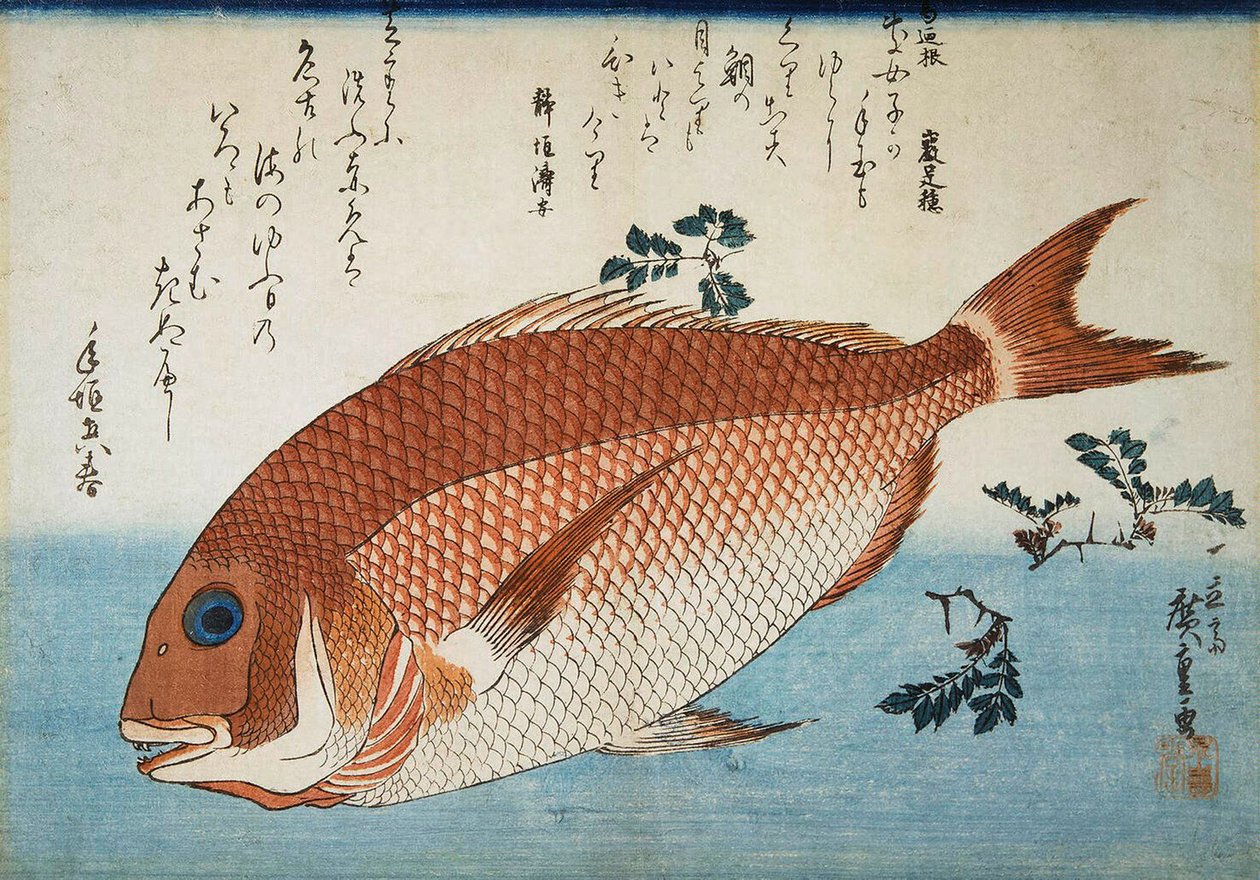 Çipura, 1832-1834. by Utagawa Hiroshige