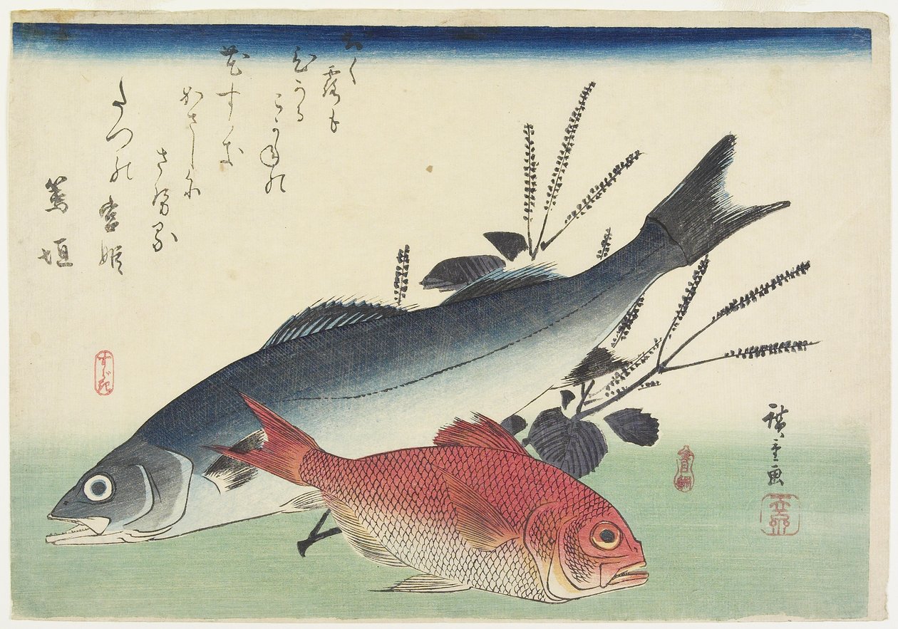 Red Snapper, Levrek ve Perilla, c. 1840 by Utagawa Hiroshige