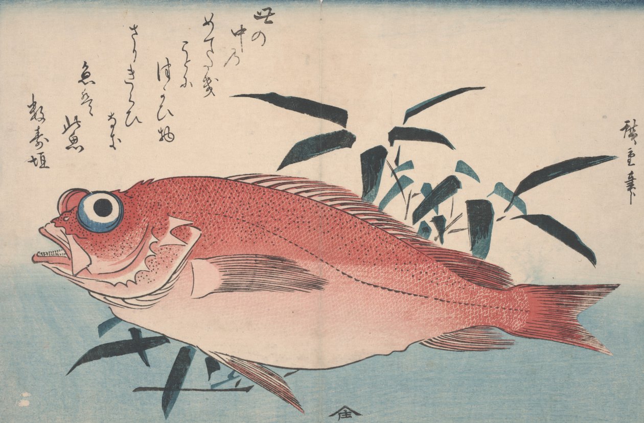 Çipura ve Bambu Otu, 1840 by Utagawa Hiroshige