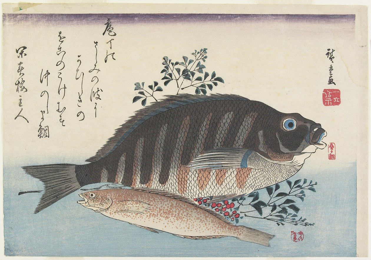 Çipura, Tatlı Balık ve Nandina Dalları, c. 1840 by Utagawa Hiroshige