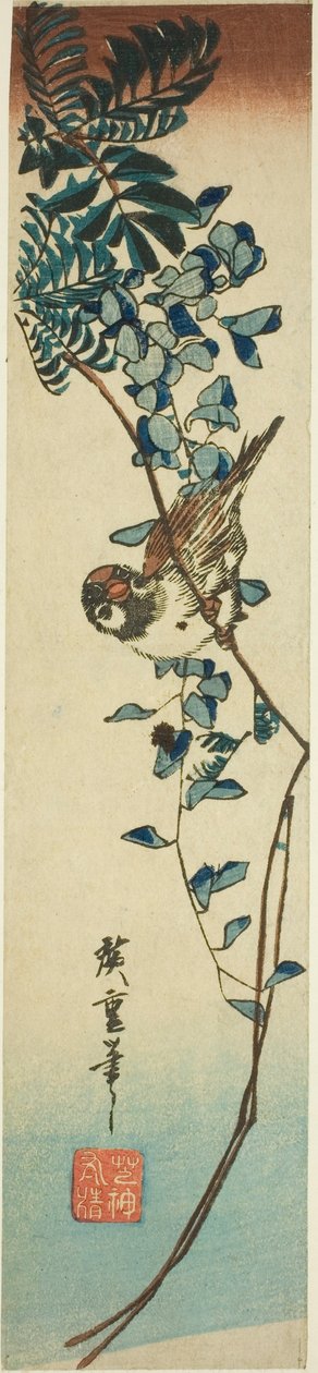 Serçe ve wisteria by Utagawa Hiroshige