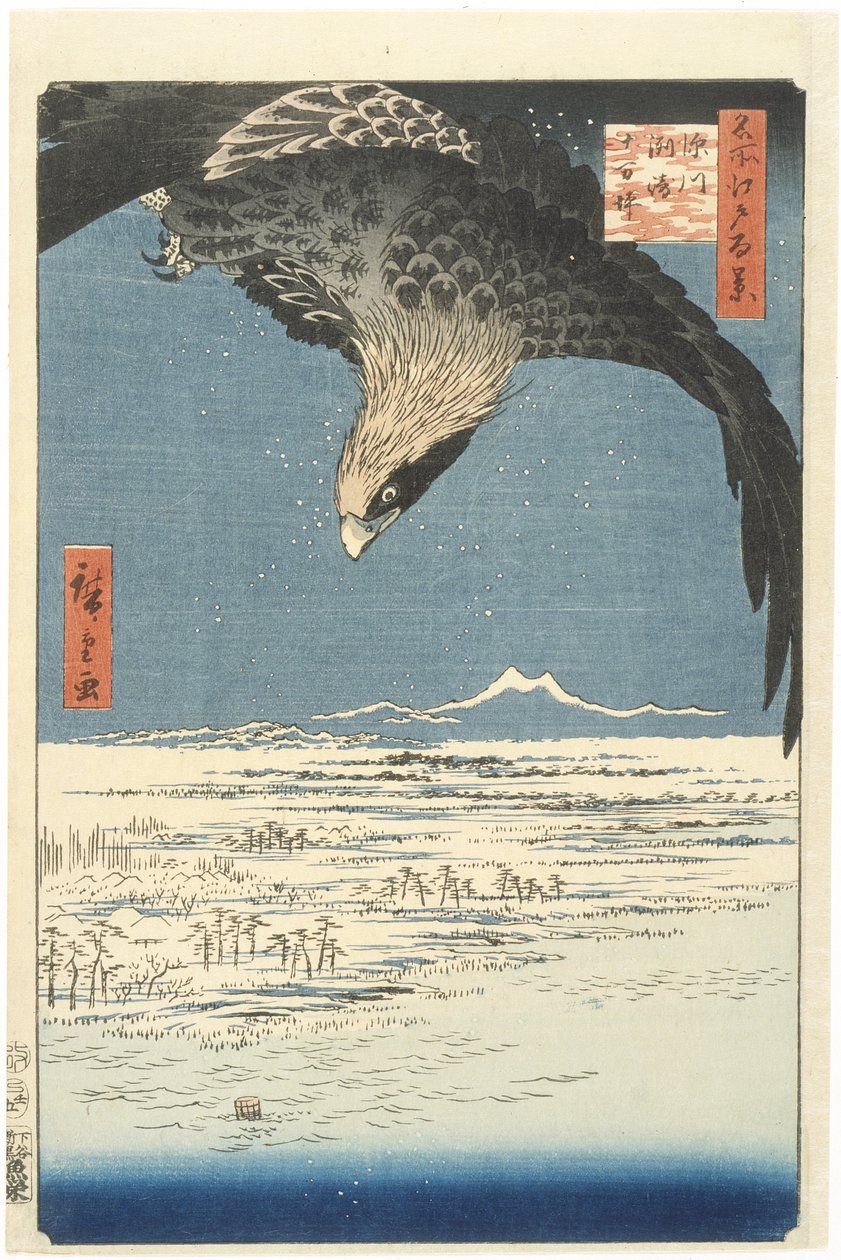 Edo