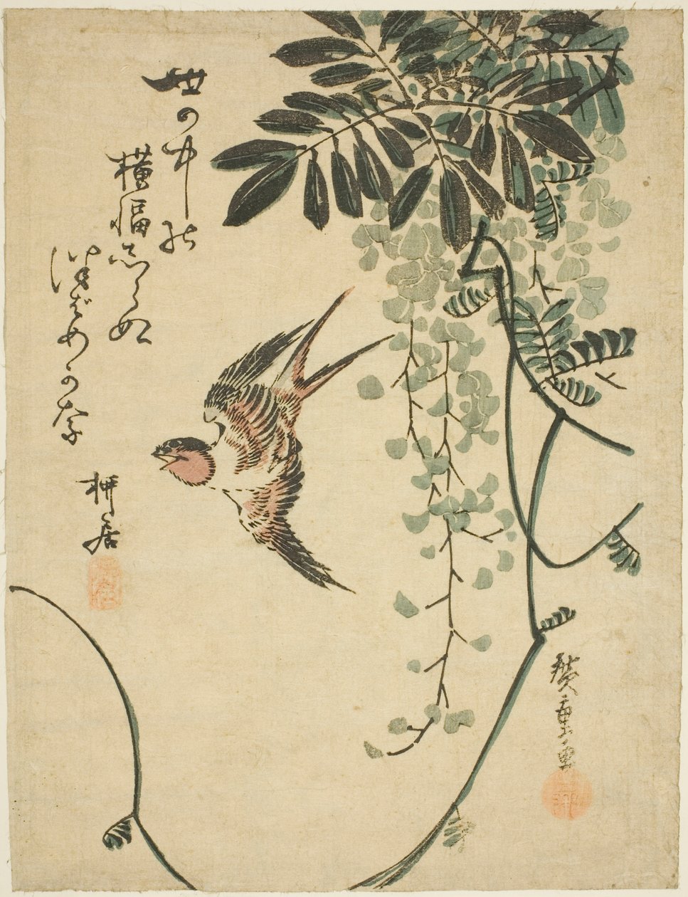 Kırlangıç ve wisteria by Utagawa Hiroshige