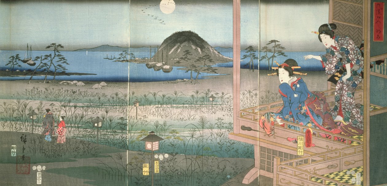 Leydi Fujitsubo, Prens Genji
