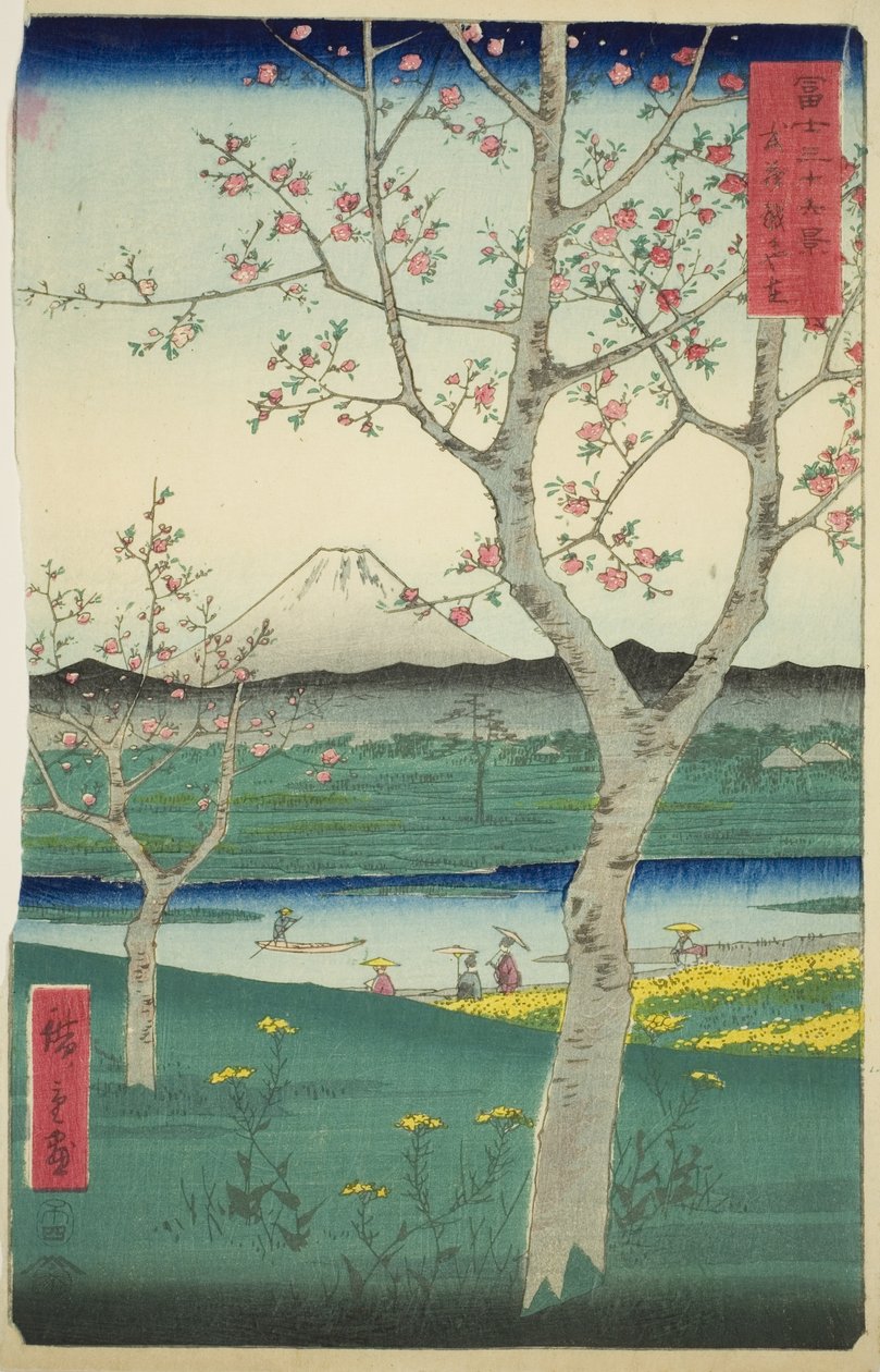 Musashi Eyaletindeki Koshigaya