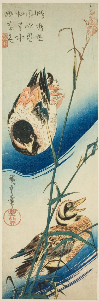 Sazlıklar Arasında Yüzen İki Ördek by Utagawa Hiroshige