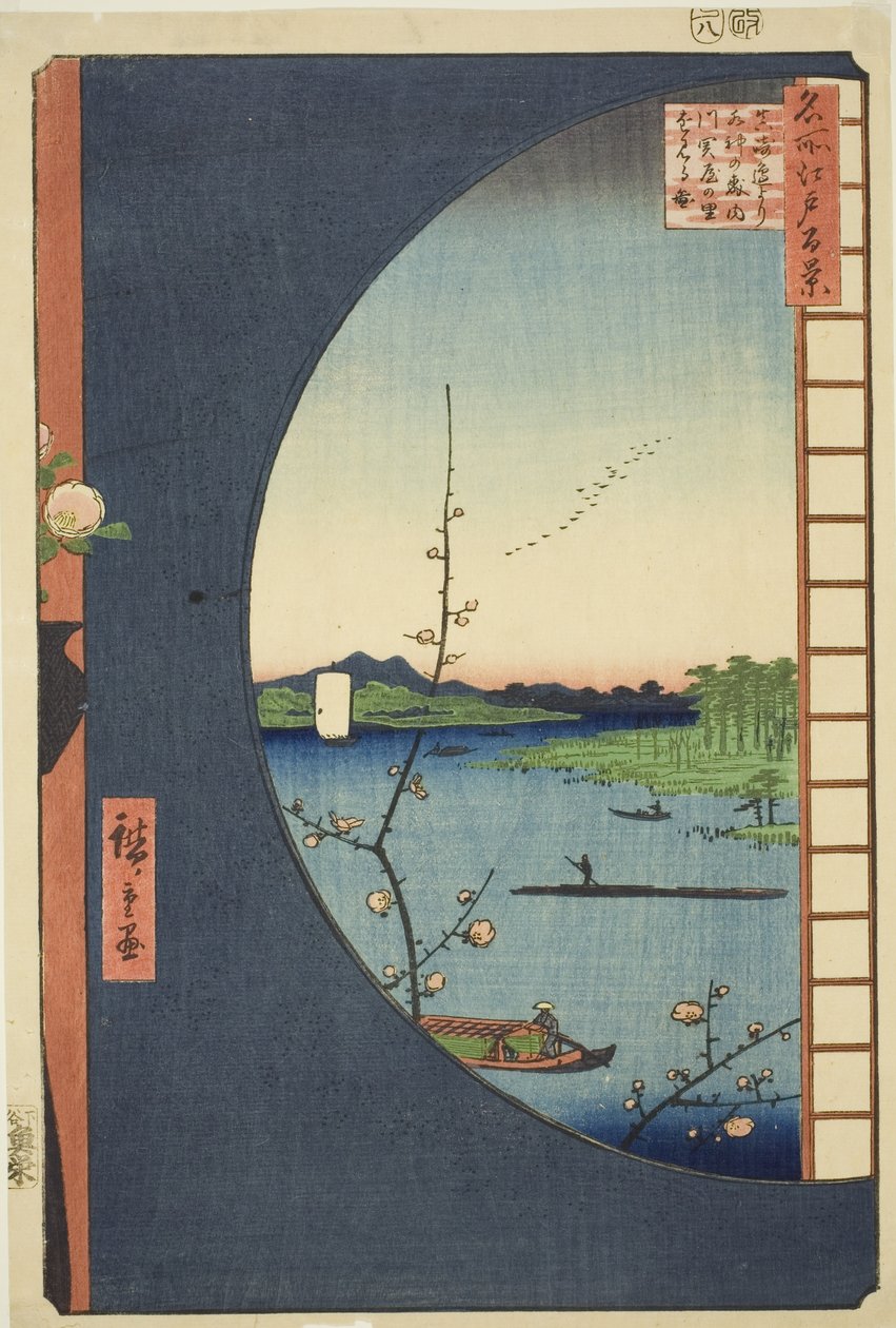"Edo