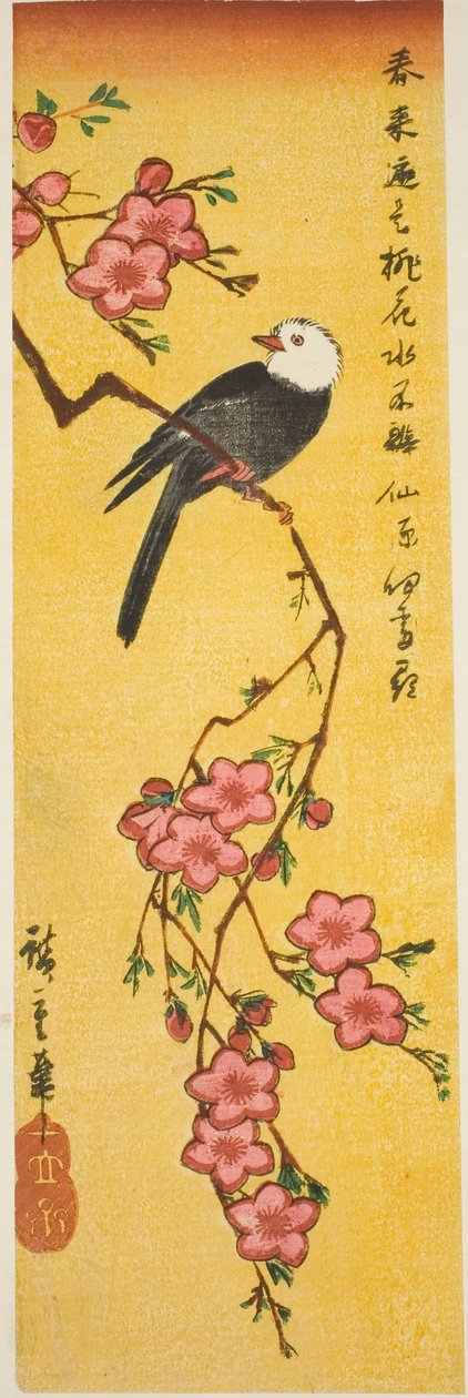 Şeftali dalı üzerinde beyaz başlı kuş by Utagawa Hiroshige
