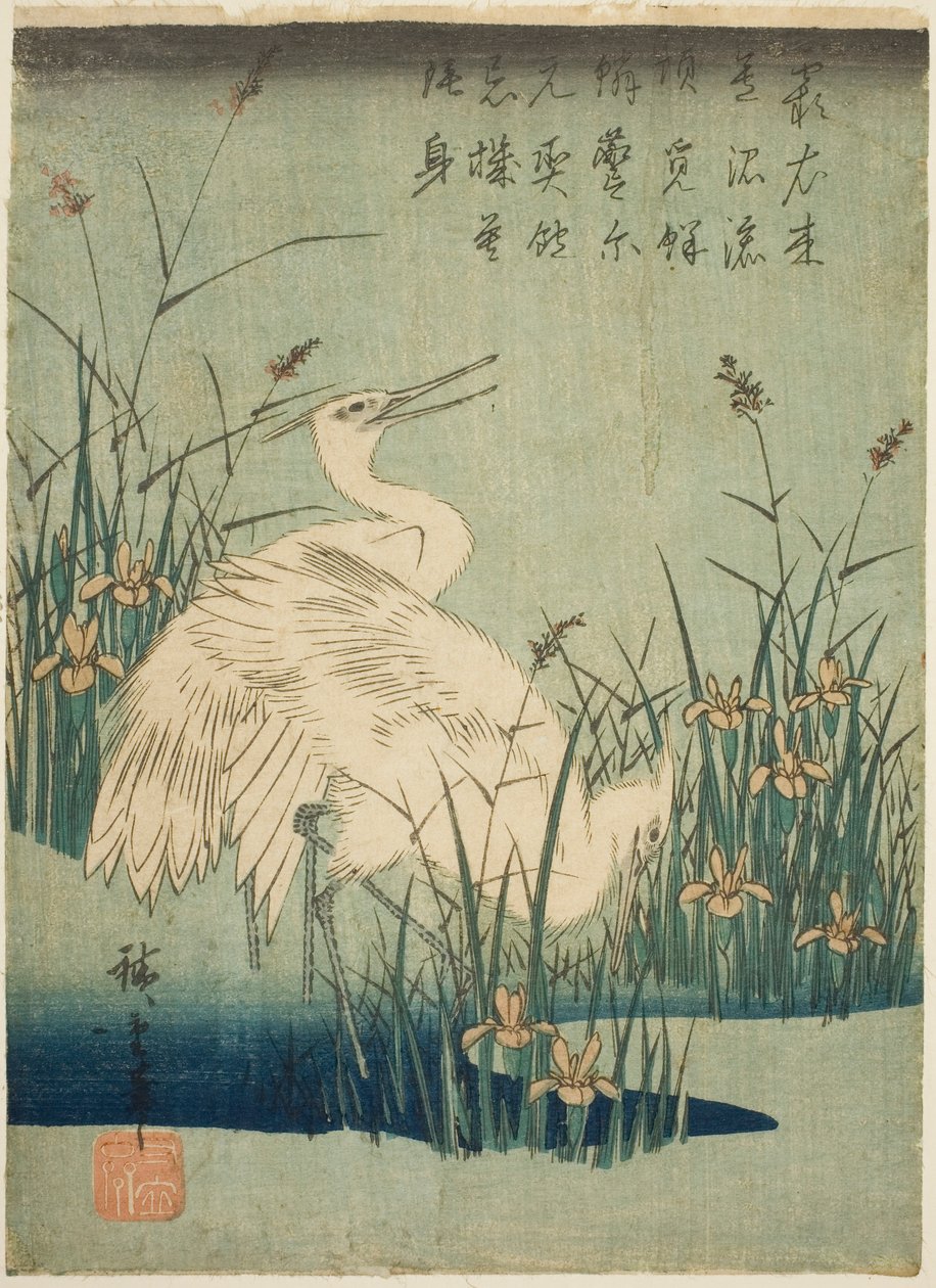 Beyaz balıkçıllar ve iris by Utagawa Hiroshige