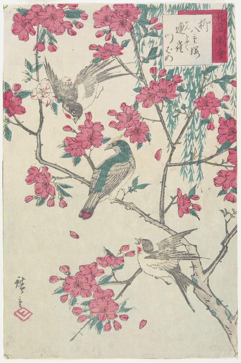 Söğüt, Kiraz Çiçekleri, Serçeler ve Kırlangıç, 19. yüzyılın başları by Utagawa Hiroshige