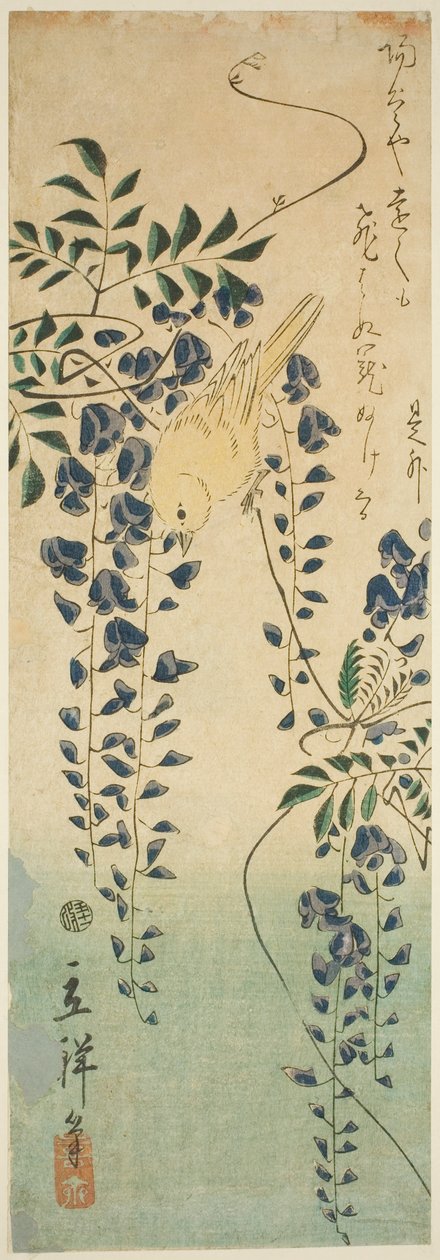 Kanarya ve wisteria by Utagawa Hiroshige II