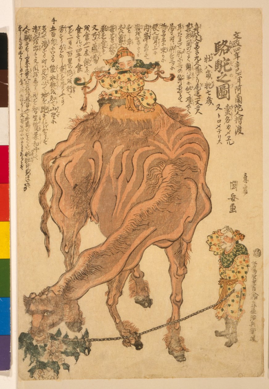 Bir Camel, bar. 1824 (el renkli gravür) by Utagawa Kuniyasu