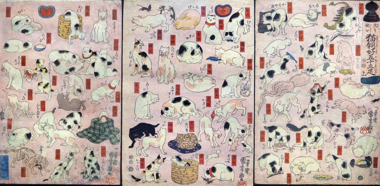 Elli üç Kedi, Tōkaidō Yolu