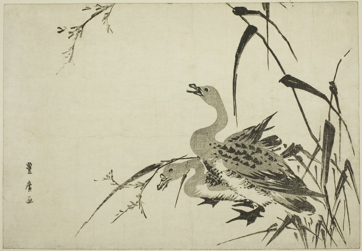 Yaban Kazları ve Sazlıklar by Utagawa Toyohiro