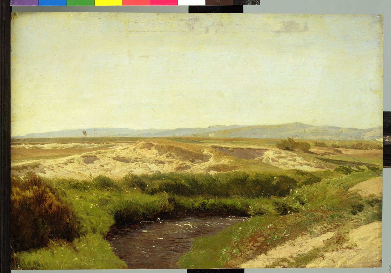 Lüneburg Heath