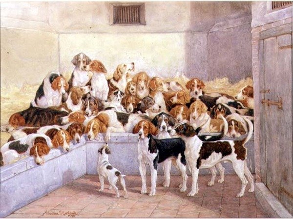 Ortalarında Bir Yabancı by Valentine Thomas Garland