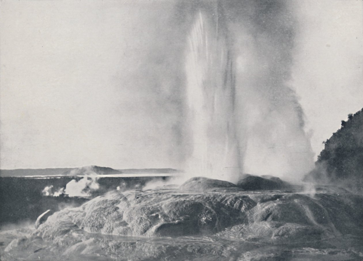 Gayzer, Yeni Zelanda, 1924 by Valentine and Sons Ltd
