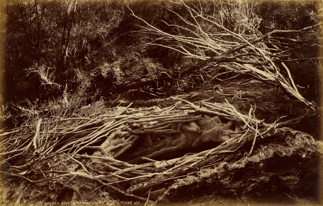  by Valentine and Sons